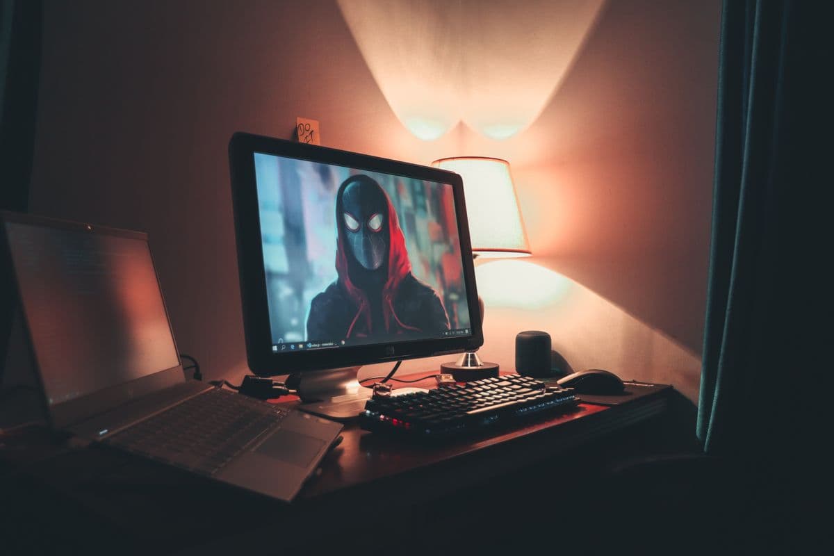 IP Cameras vs Analog CCTV Systems Guide
