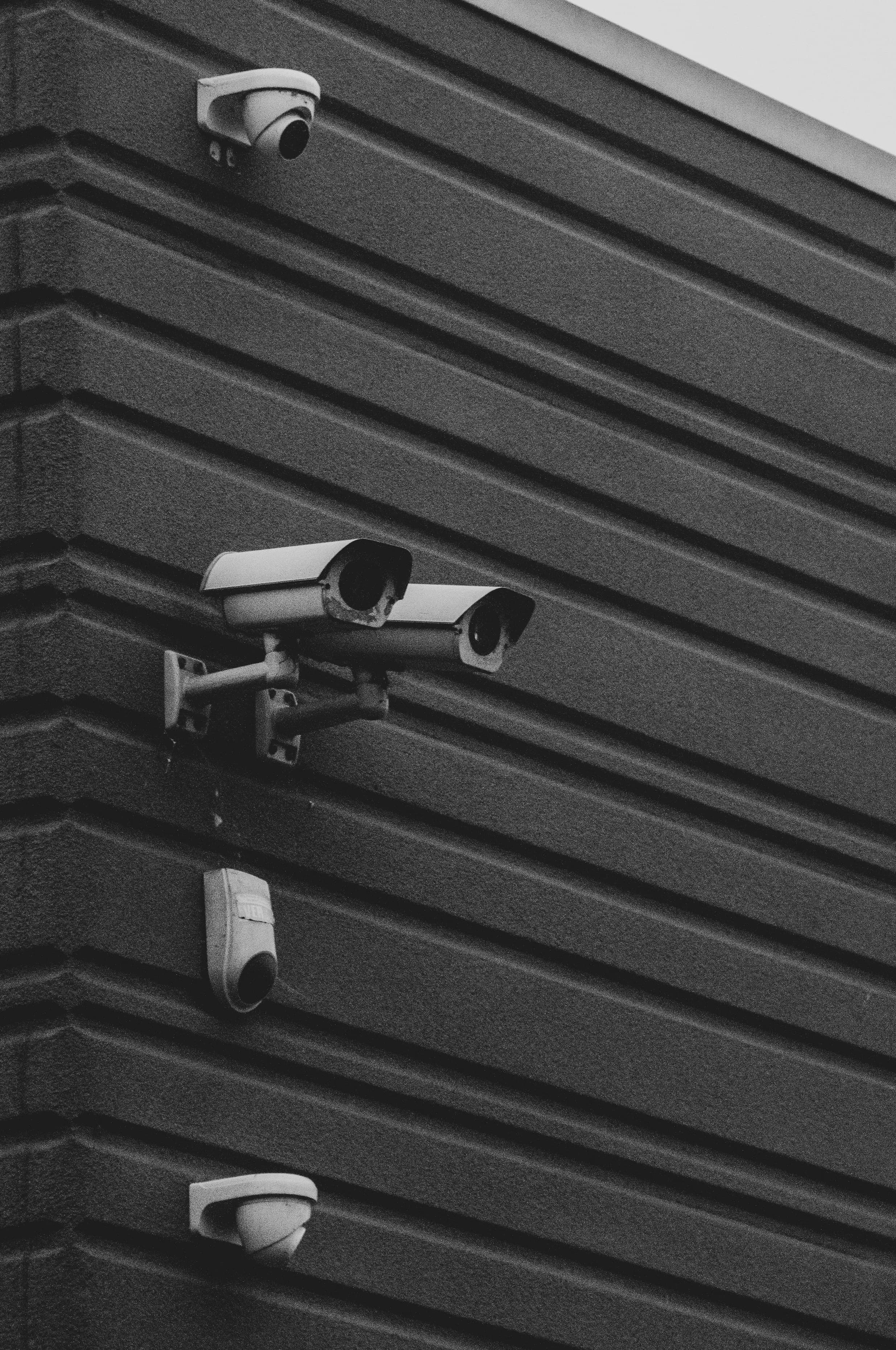 RAID, NAS or NVR: Choosing Reliable Storage for a Multi-Camera Business System